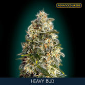 Heavy Bud (Advanced Seeds) Féminisée