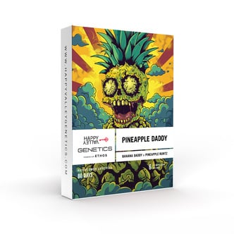Pinapple Daddy (Happy Valley Genetics) Feminized