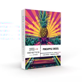Pineapple Diesel (Happy Valley Genetics) féminisée