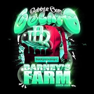 Bubblegum Gelato (Barney's Farm) féminisée