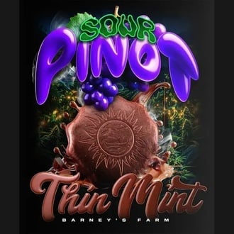Thin Mint x Sour Pinot Auto (Barney's Farm) féminisée