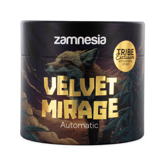 Velvet Mirage Auto (Zamnesia Seeds) - 4 Graines féminisées + Grinder