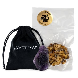 TRIBE Truffes Bliss Bites