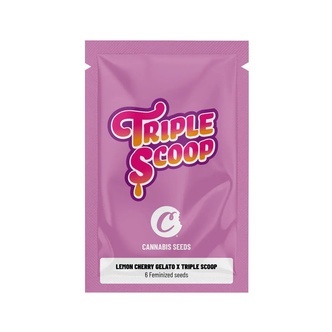 Lemon Cherry Gelato x Triple Scoop (Cookies) f&eacute;minis&eacute;e
