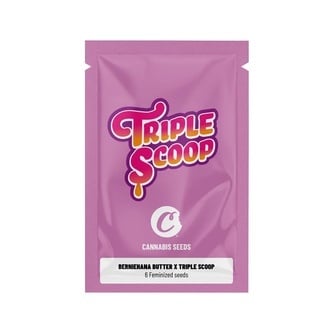 Berniehana Butter x Triple Scoop (Cookies) f&eacute;minis&eacute;e