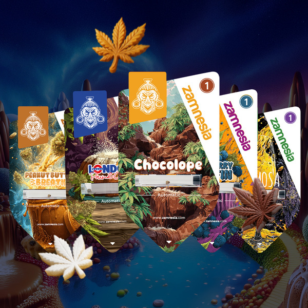 Bundle Sugar Valley Auto (Zamnesia Seeds) féminisée