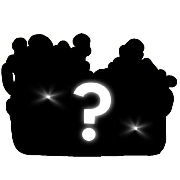 Kit surprise champignons magiques (Zamnesia)