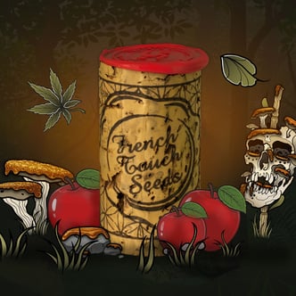 Respeto Confite (French Touch Seeds) féminisée