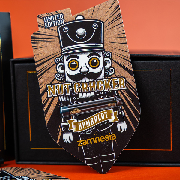 Nut Cracker (Humboldt Seeds x Zamnesia Seeds) féminisée