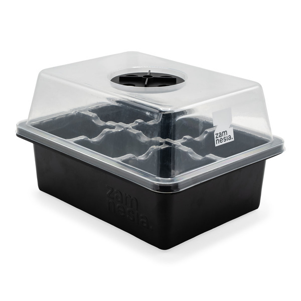 Kit de propagation de graines (Zamnesia)