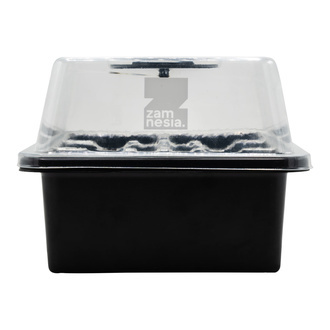 Kit de propagation de graines (Zamnesia)