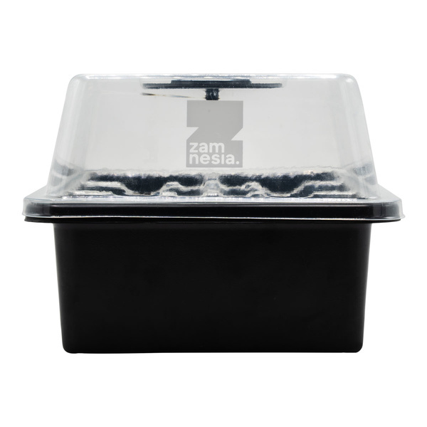 Kit de propagation de graines (Zamnesia)