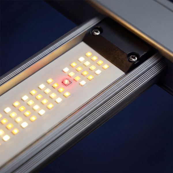 Lampe de culture LED Phytonaut 120 W (Zamnesia)