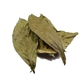 Chacruna (Psychotria viridis) 50 grammes