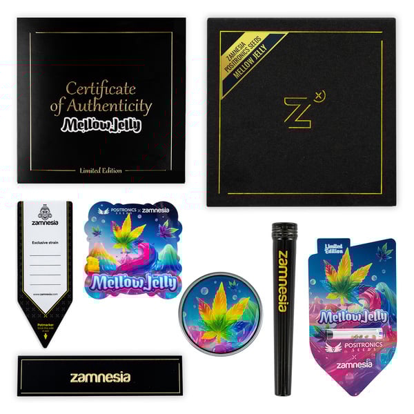 Mellow Jelly (Positronics Seeds x Zamnesia Seeds) féminisée