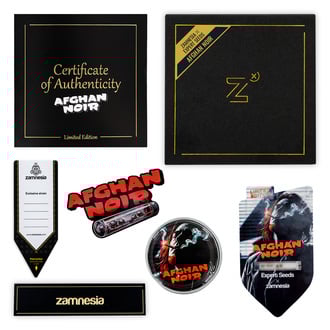 Afghan Noir (Zamnesia Seeds x Expert Seeds) f&eacute;minis&eacute;e
