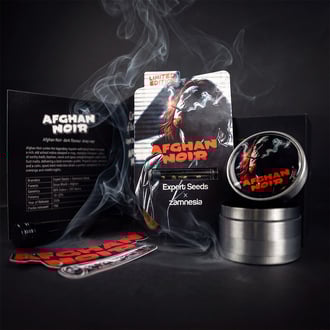 Afghan Noir (Zamnesia Seeds x Expert Seeds) féminisée