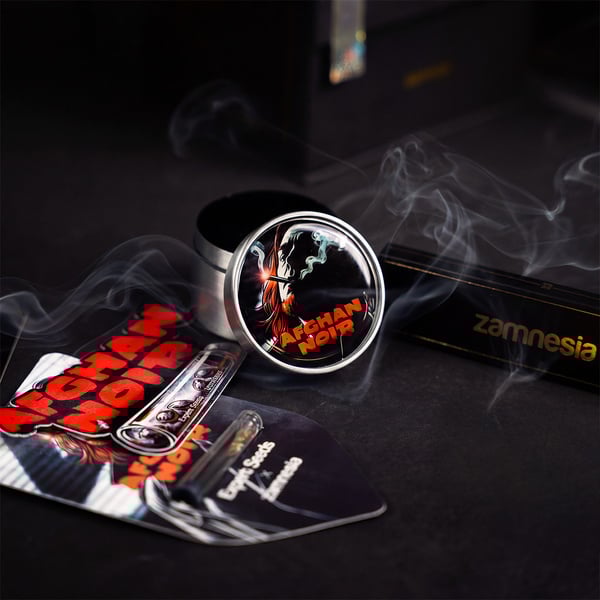 Afghan Noir (Zamnesia Seeds x Expert Seeds) féminisée