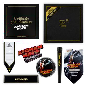 Afghan Noir (Zamnesia Seeds x Expert Seeds) f&eacute;minis&eacute;e