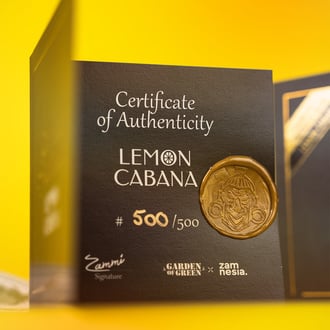 Lemon Cabana (Zamnesia Seeds x Garden of Green) féminisée