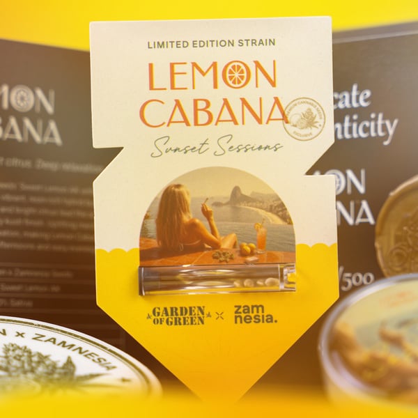 Lemon Cabana (Zamnesia Seeds x Garden of Green) féminisée