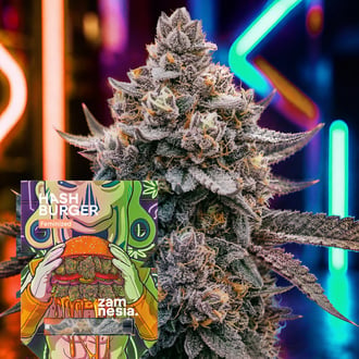Hash Burger (Zamnesia Seeds) f&eacute;minis&eacute;e
