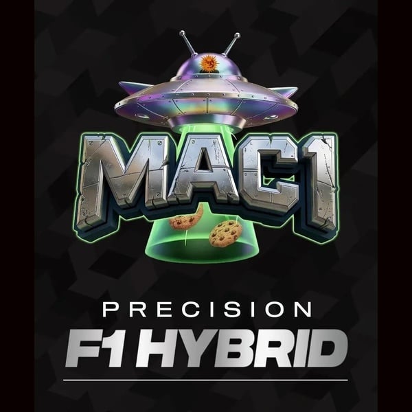 MAC 1 F1 (Barney's Farm) féminisée