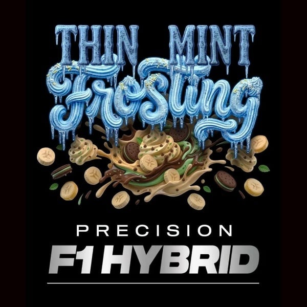 Thin Mint Frosting F1 (Barney's Farm) féminisée