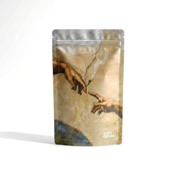 Sachet de Stockage High Art Z-Lock (Extra Large) (Zamnesia)