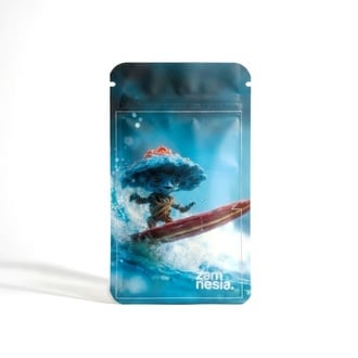 Sachet de Stockage Z-Lock Shroomies (Petit Format)