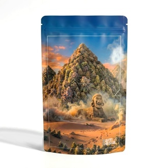 Sac de Rangement Zippé Highly Iconic Z-Lock (Extra Large)