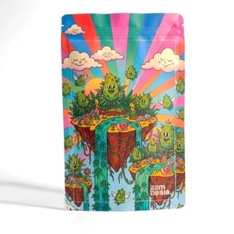 Sachet de Rangement Z-Lock Trippy Toons (Extra Large)