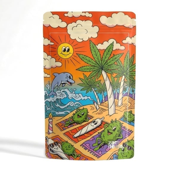 Sachet de Rangement Z-Lock Trippy Toons (Extra Large)