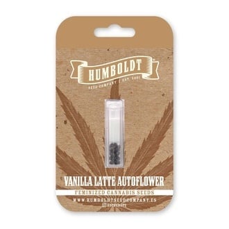 Vanilla Latte Auto (Humboldt Seed Company) Féminisée