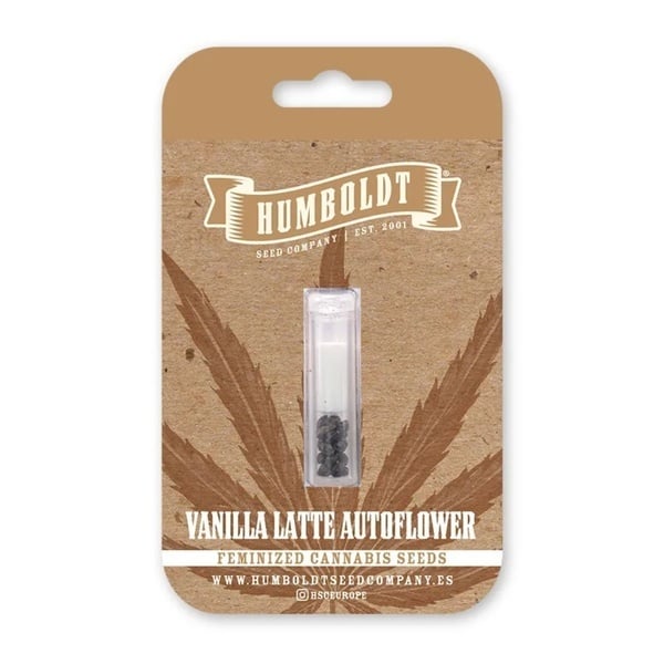 Vanilla Latte Auto (Humboldt Seed Company) Féminisée