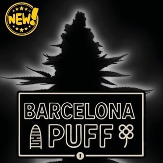 Barcelona Puff Auto (Seedstockers) F&eacute;minis&eacute;e