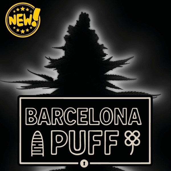 Barcelona Puff Auto (Seedstockers) Féminisée