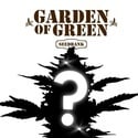 Graine Mystère CBD 1 (Garden of Green)