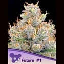 Future 1 (Anesia Seeds) Féminisée