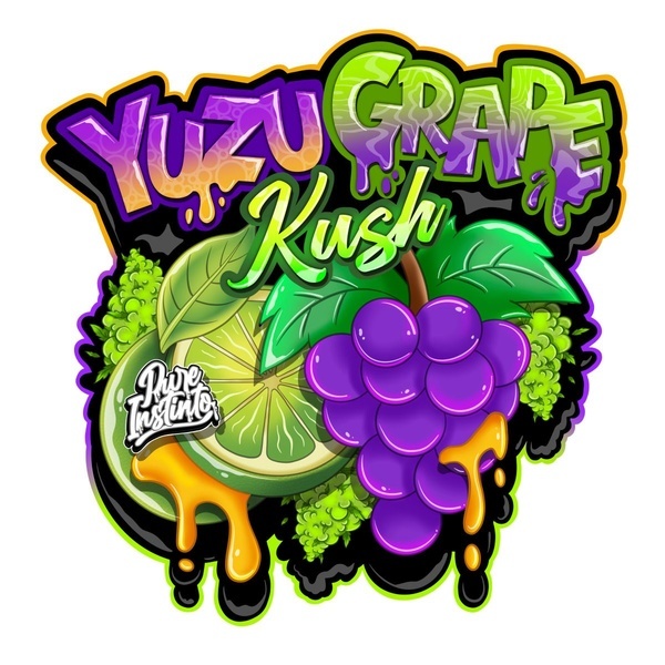 Yuzu Grape Kush (Pure Instinto) Féminisée