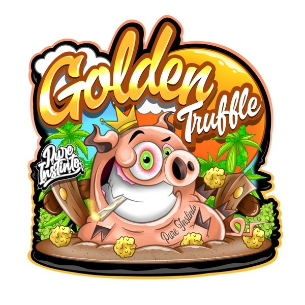 Golden Truffle (Pure Instinto) Féminisée