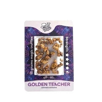 Golden Teacher Truffes Magiques