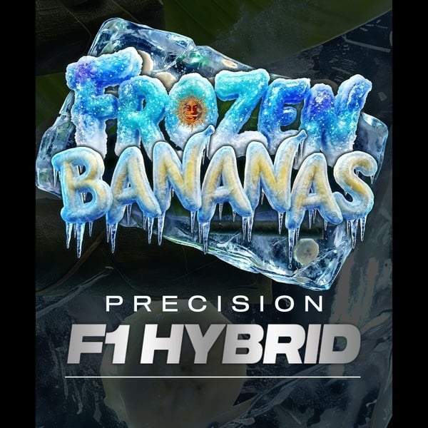 Frozen Bananas F1 Auto (Barney's Farm) Féminisée