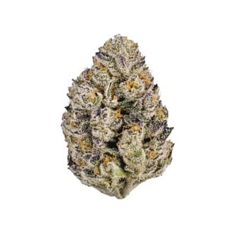 Lemon Cherry Runtz (FastBuds) feminized