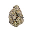 Lemon Cherry Runtz (Fast Buds) féminisée