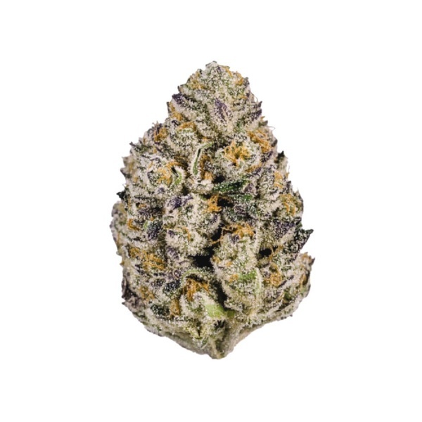 Lemon Cherry Runtz (Fast Buds) féminisée