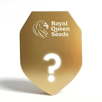 Myst&egrave;res F1 &agrave; Autofloraison 3 (Royal Queen Seeds)