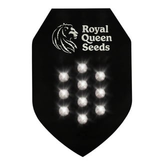 Myst&egrave;res &agrave; Autofloraison 10 (Royal Queen Seeds)
