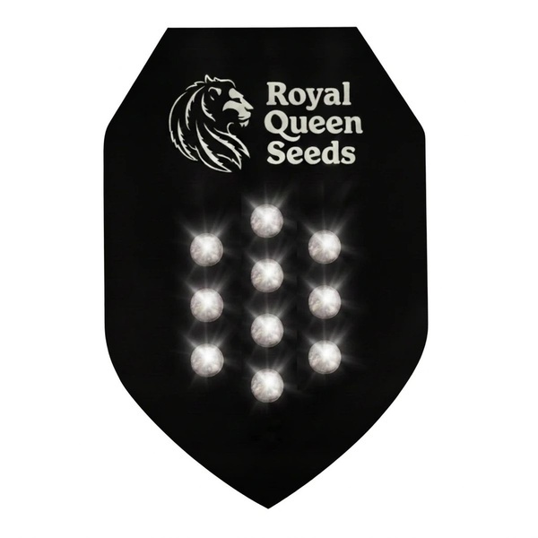 Mystères à Autofloraison 10 (Royal Queen Seeds)