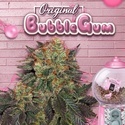 Bubblegum (T.H. Seeds) Féminisée